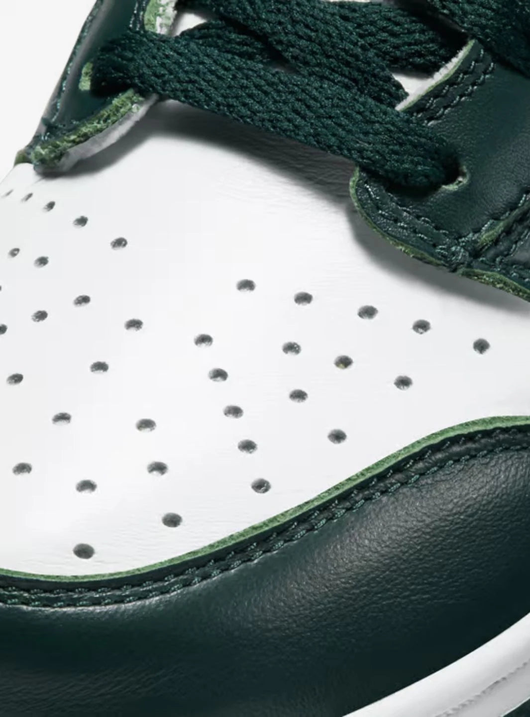 Nike Dunk High Spartan Green