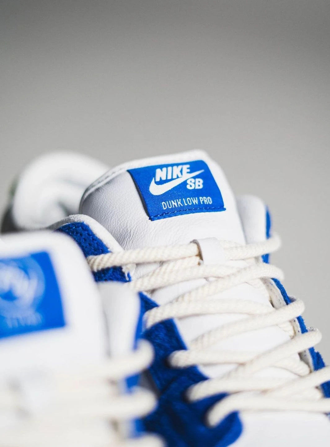 Nike SB Dunk Low Pro Fly Streetwear Gardenia